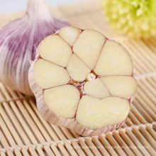 Jin xiang wholesale garlic normal white in box 2020 crop hot sale large size mildew resistance rot resistance storage resistance